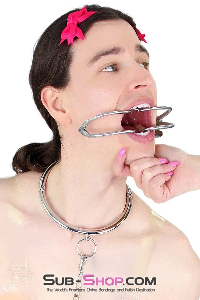 9969M      Steel Collar with Removeable Chained Adjustable Handcuffs