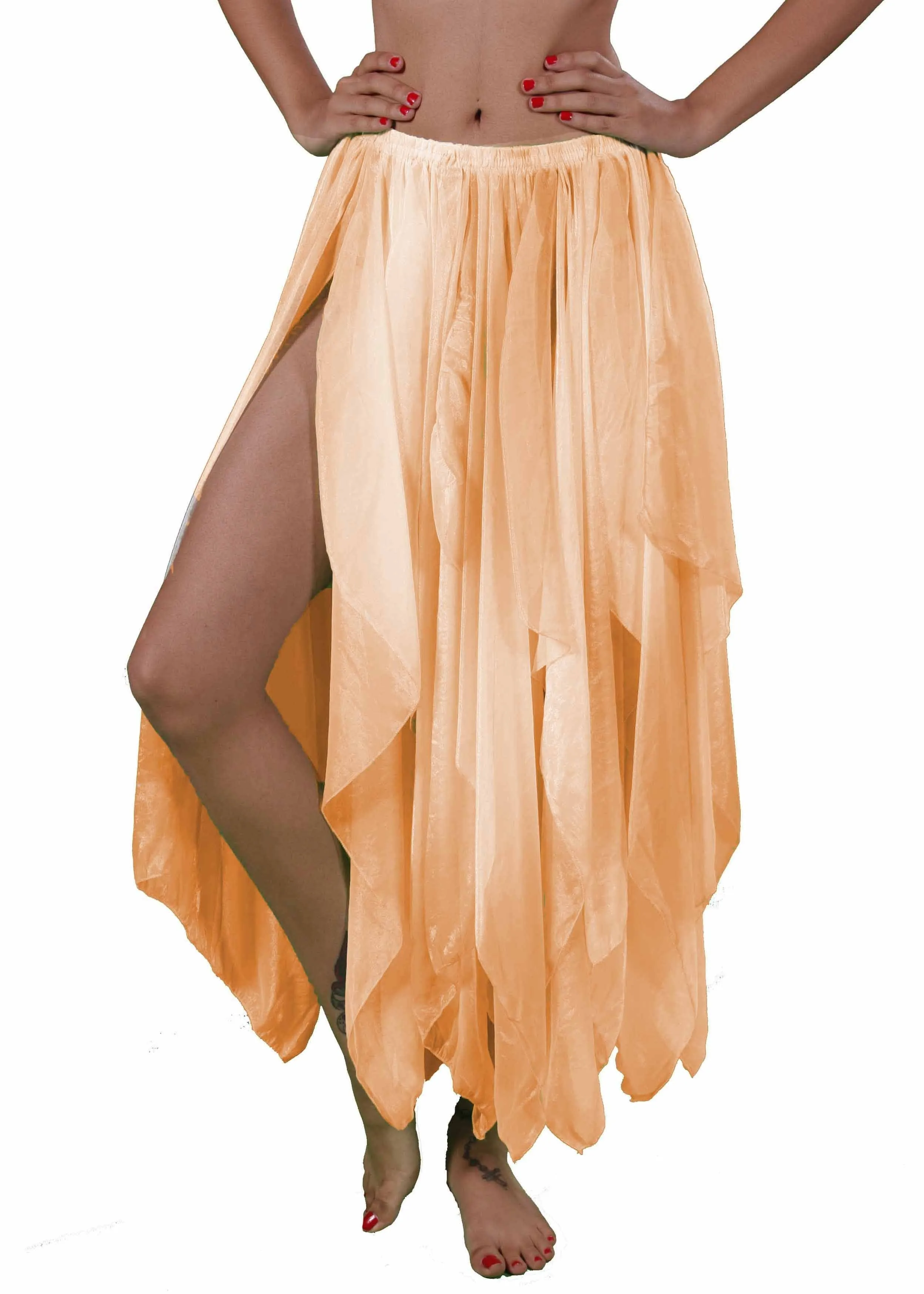 Belly Dance Organza 13 Panel Skirt | AGLISE