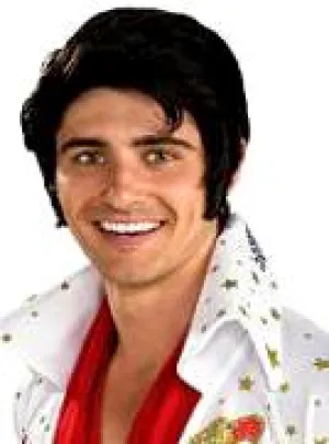 Elvis Wig