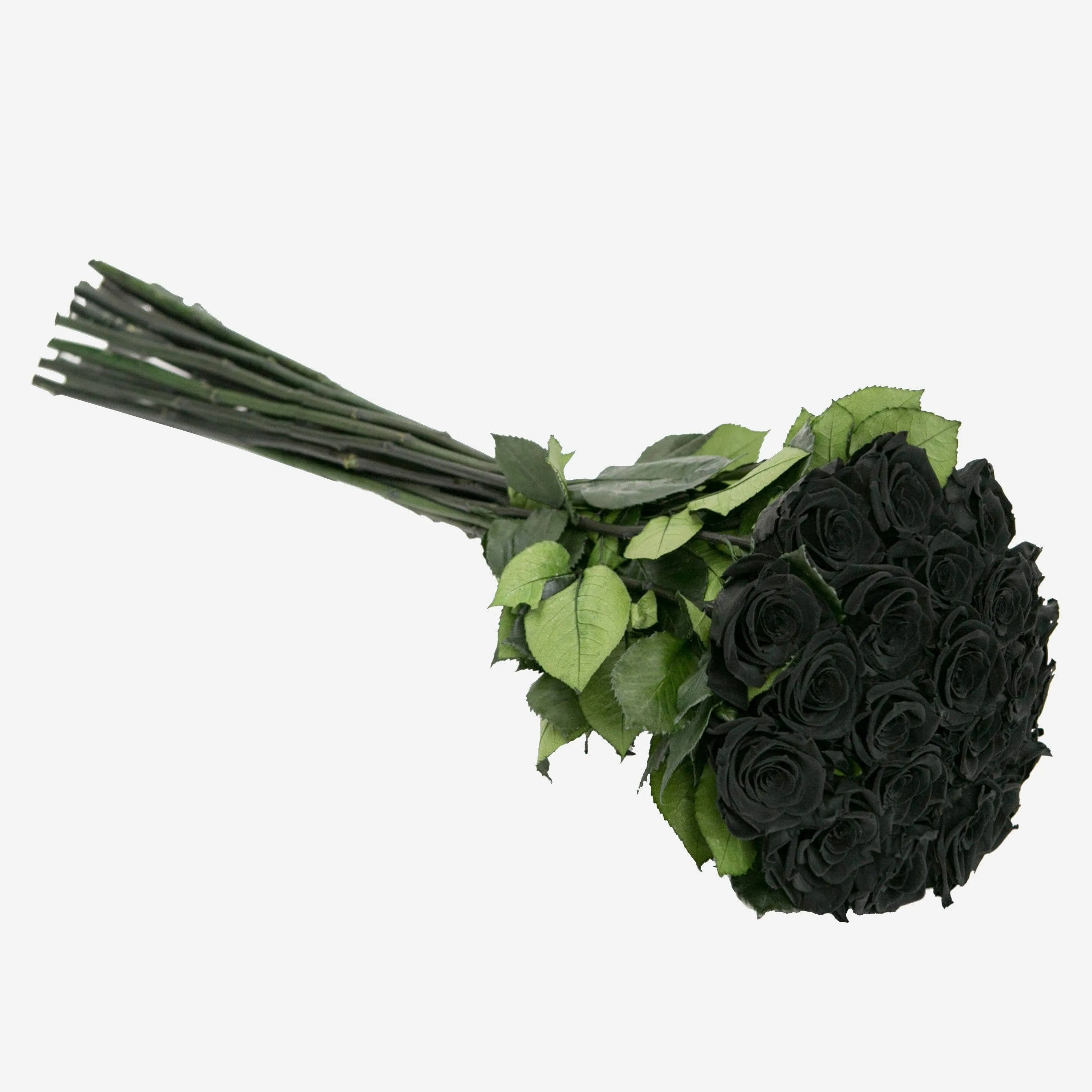 Long Stem Roses | Black Roses