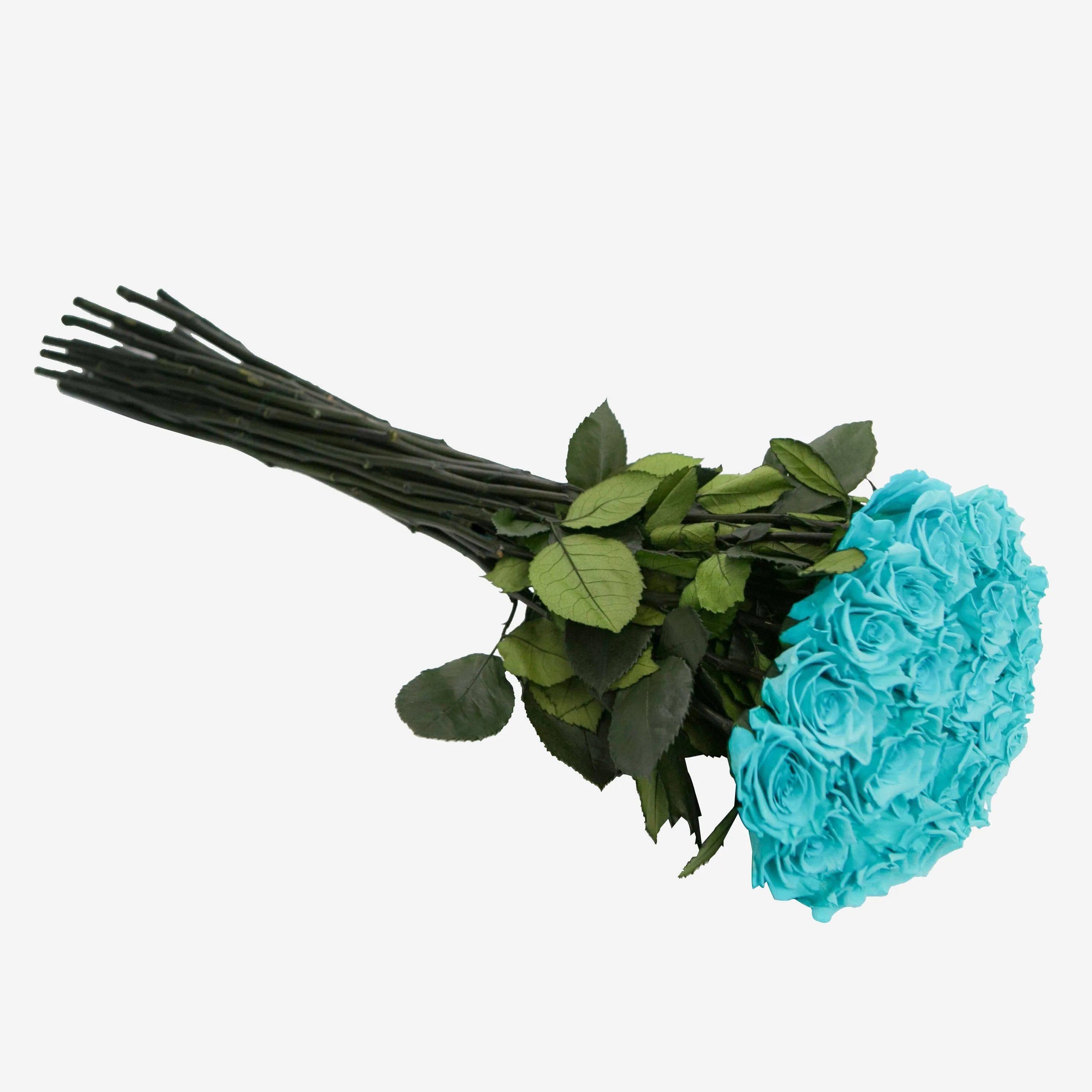 Long Stem Roses | Turquoise Roses