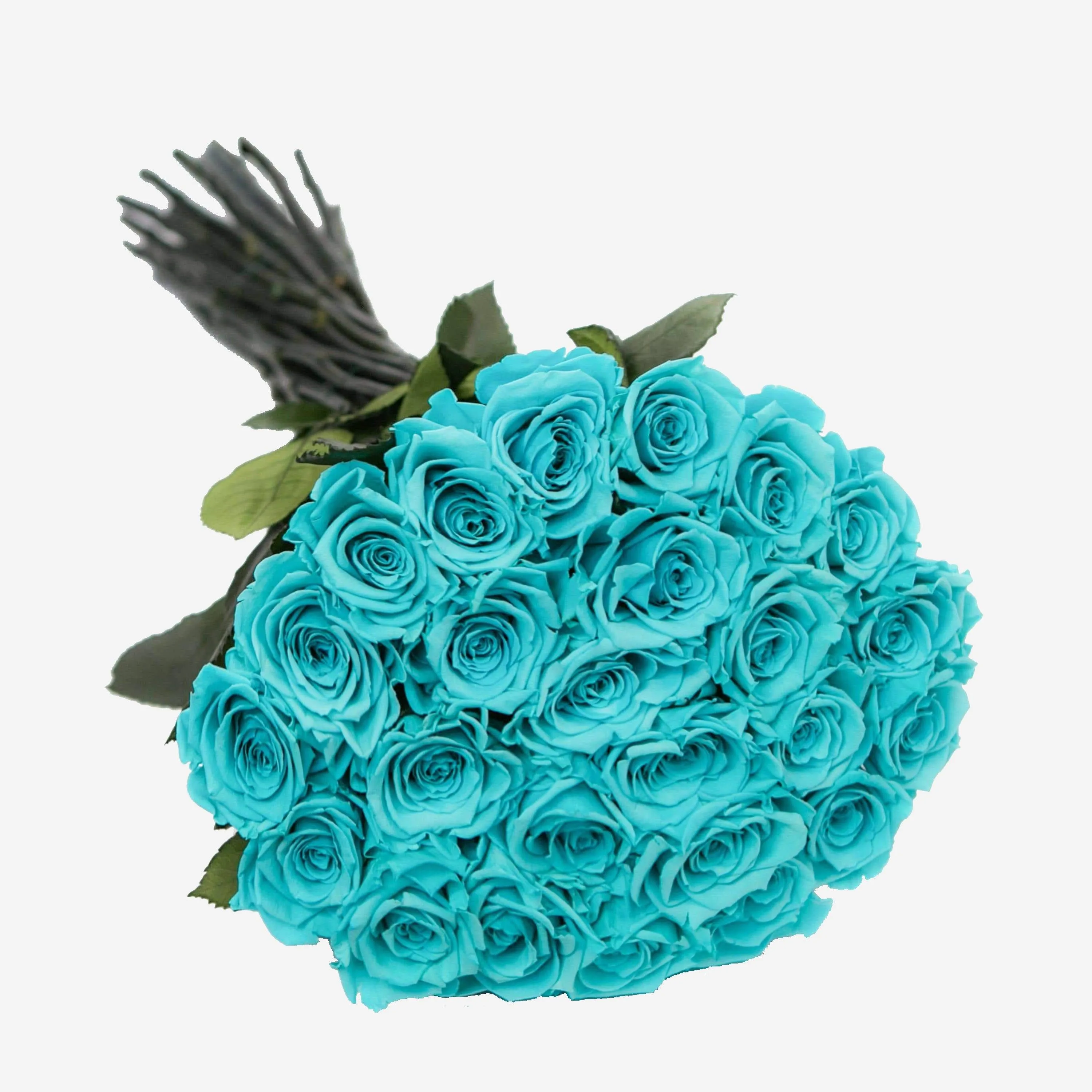 Long Stem Roses | Turquoise Roses