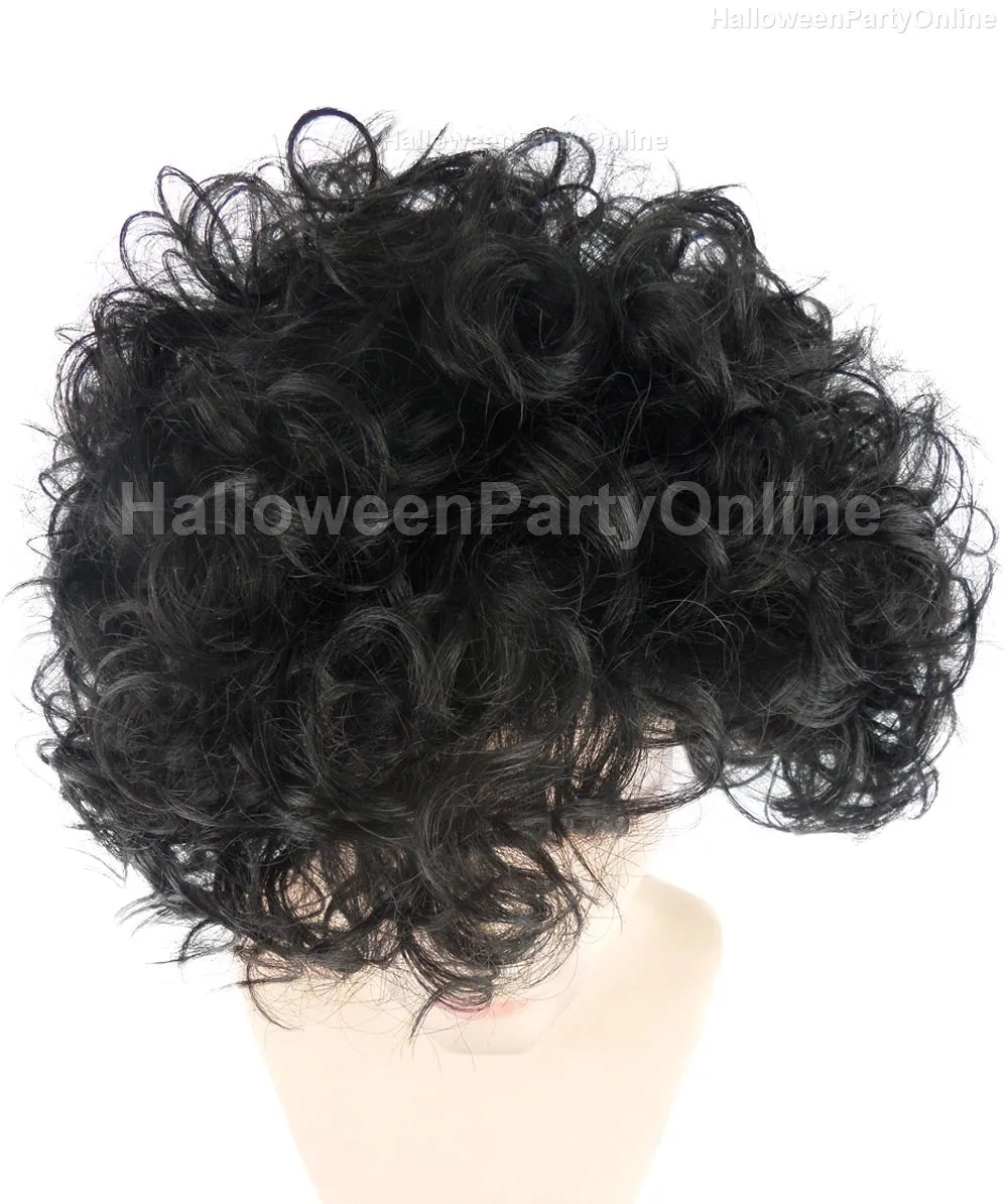 Purple Singer Wig | Black Curly Celebrity Halloween Wig