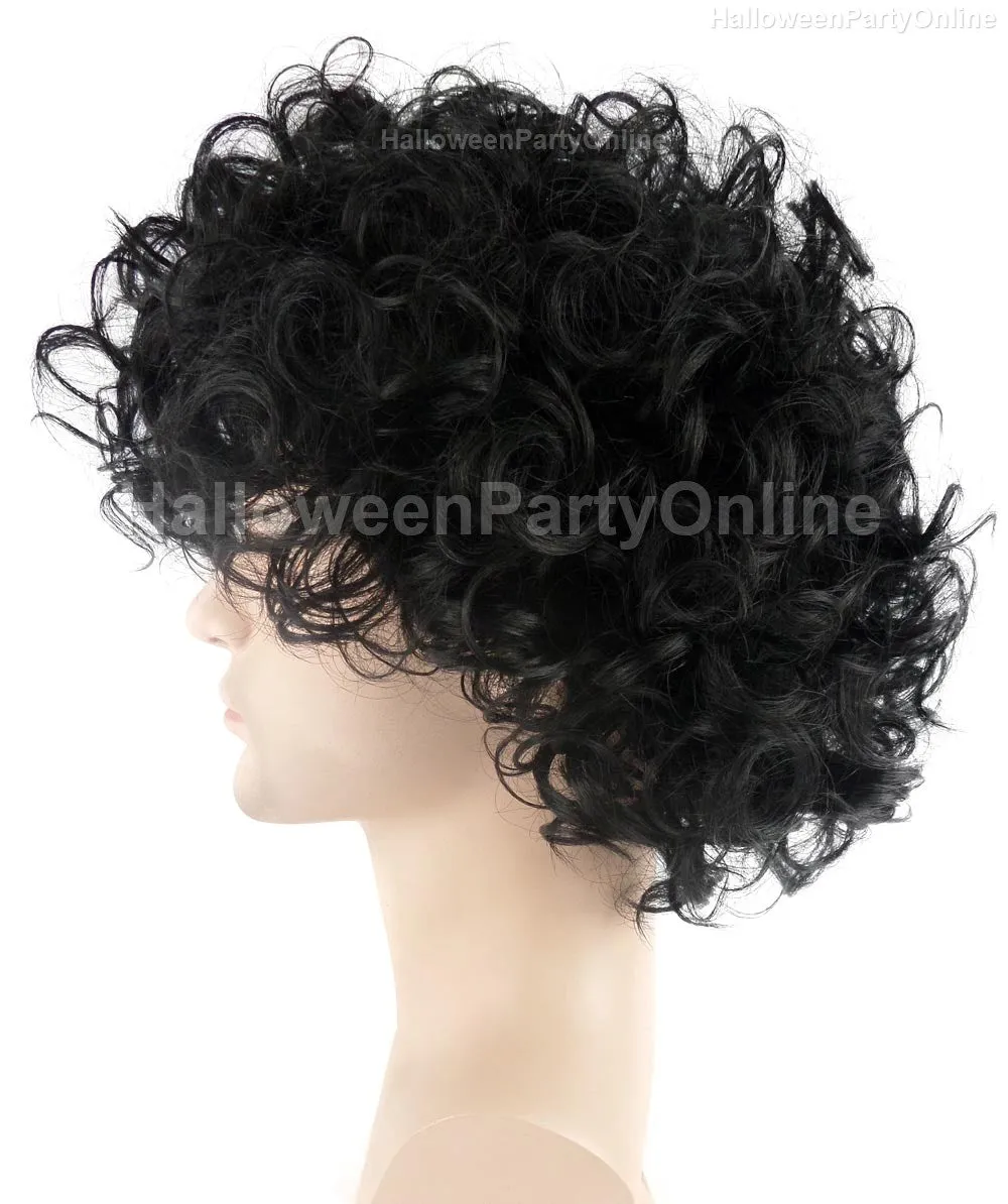 Purple Singer Wig | Black Curly Celebrity Halloween Wig