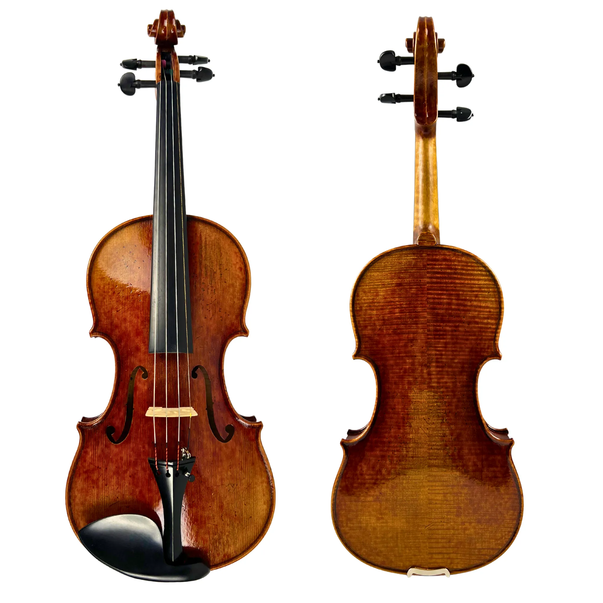 Renée Nicolette Master Series Violin Outfit