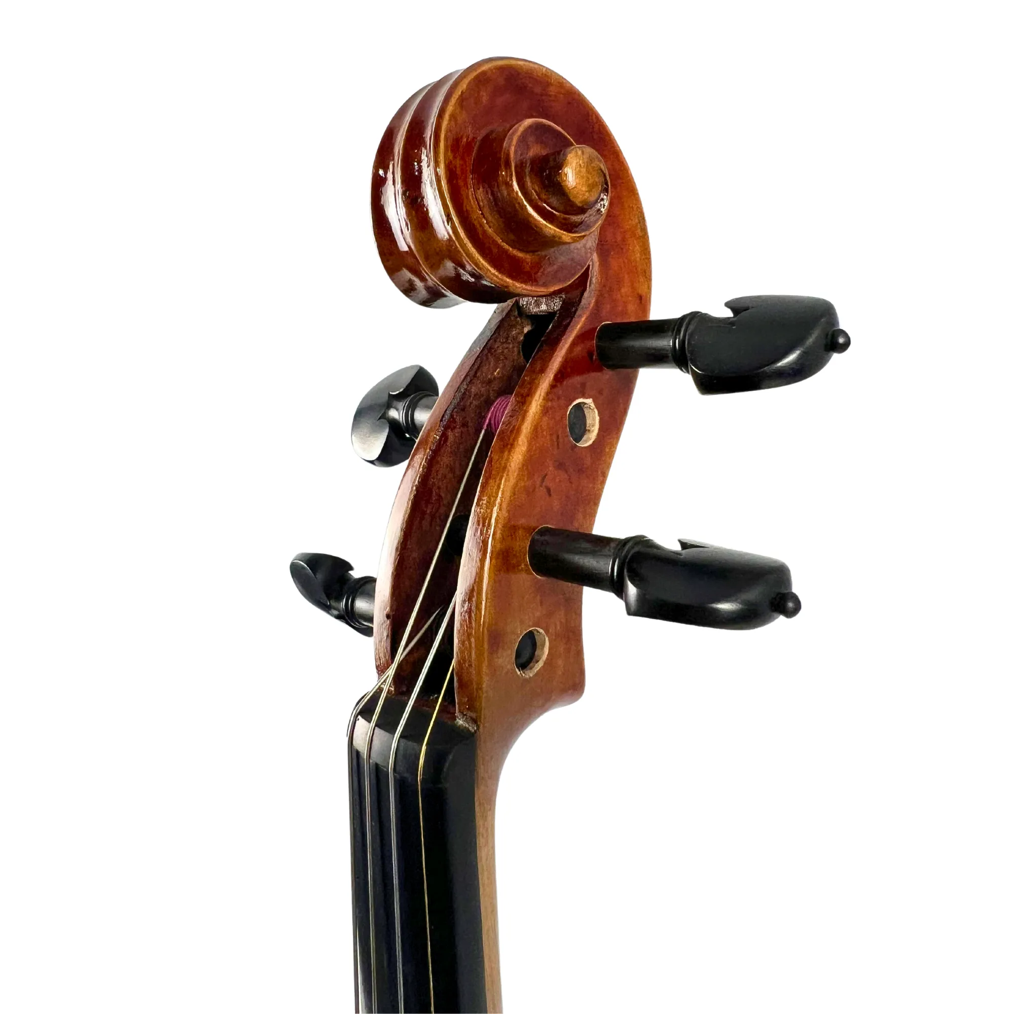 Renée Nicolette Master Series Violin Outfit