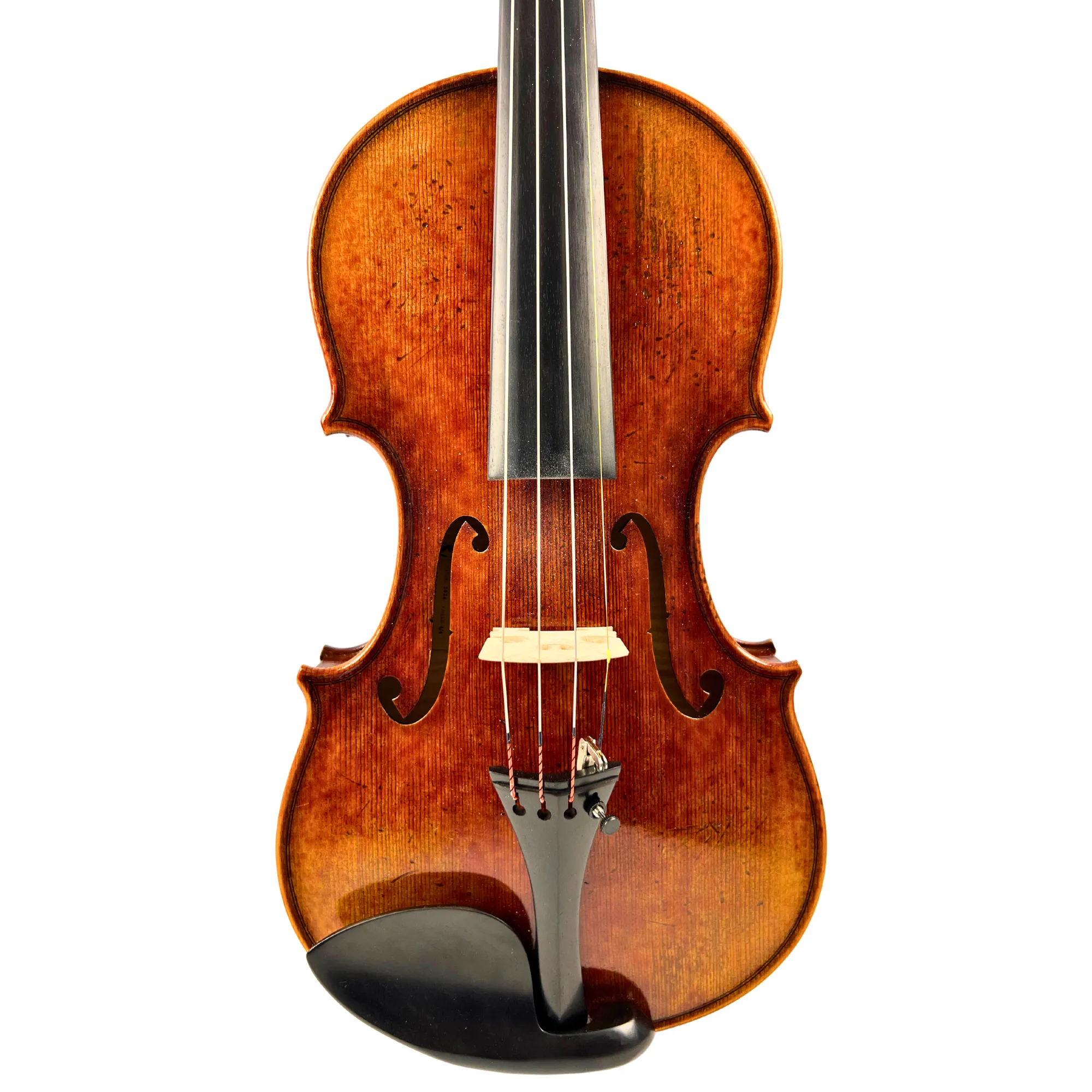 Renée Nicolette Master Series Violin Outfit